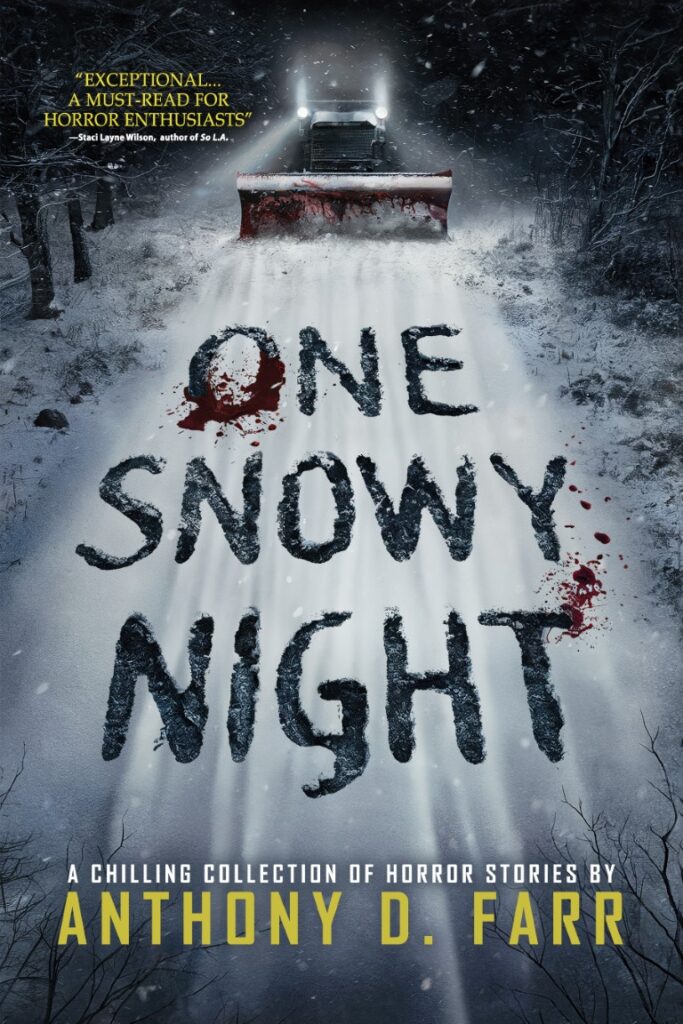 One Snowy Night